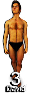 David 3.0